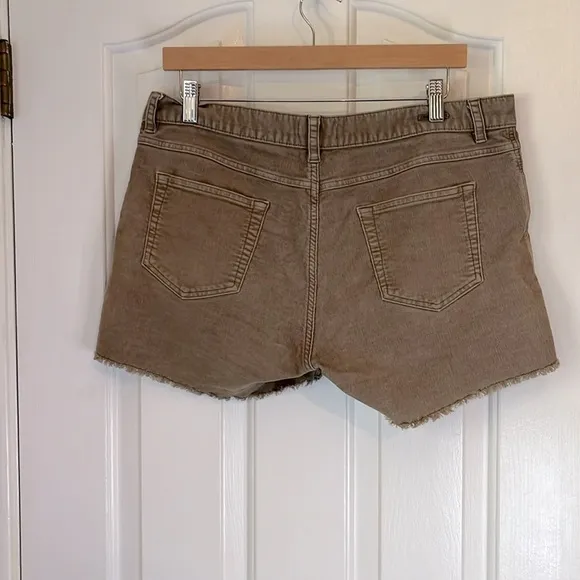 Carve Designs | Oahu 4&quot; Butter Short Micro Corduroy Tan Brown Size 10 Beachy