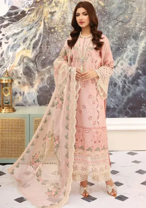 ELAN | FESTIVE CHIKAKARI 2023 | ELC-06 FLAMINGO