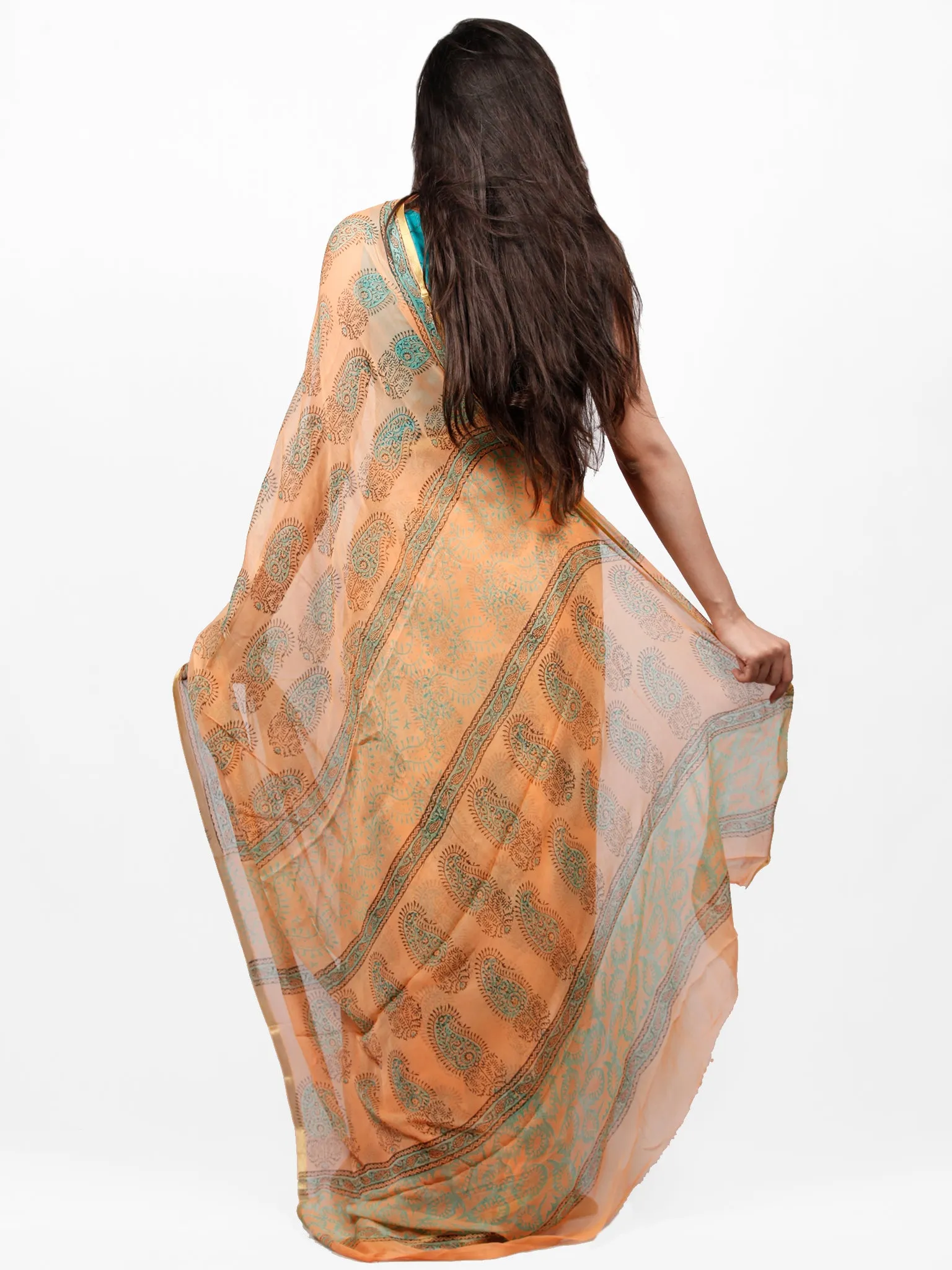 Peach Green Hand Block Printed Chiffon Saree with Zari Border - S031703276