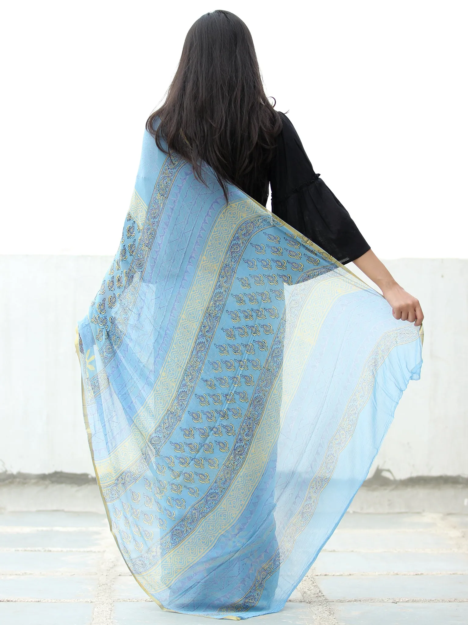 Sky Blue Yellow Hand Block Printed Chiffon Saree with Zari Border - S031703946